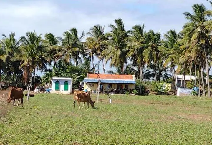 Embracing Our Roots: The Deep Meaning Behind 'Kannukutty Organic'